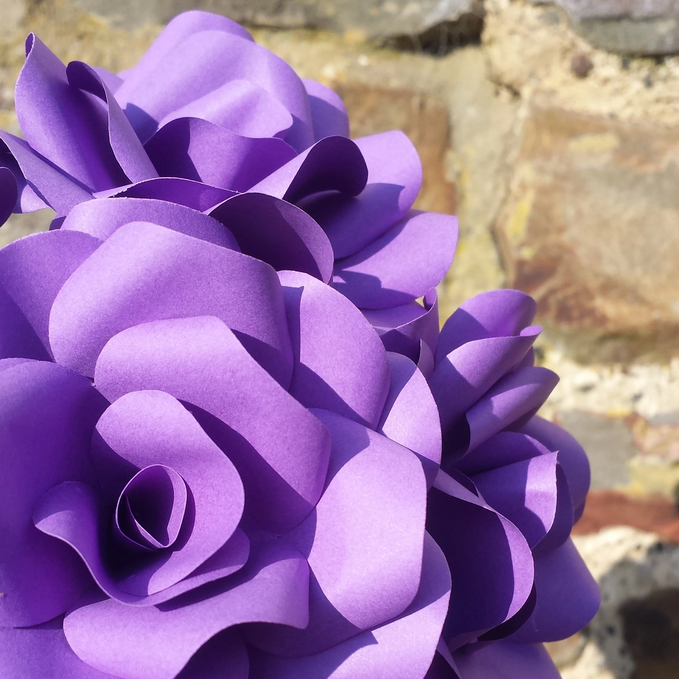 Coloured Paper Flowers